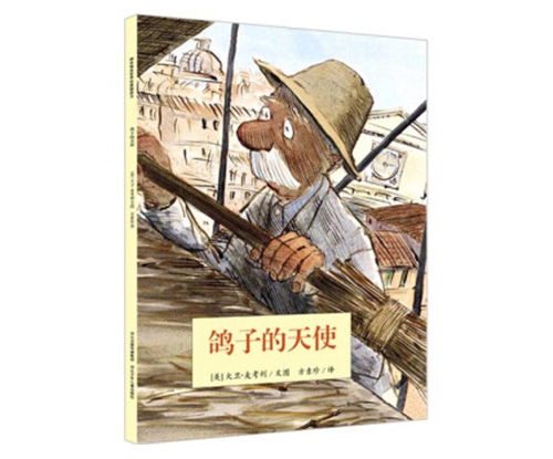 鸽子的天使